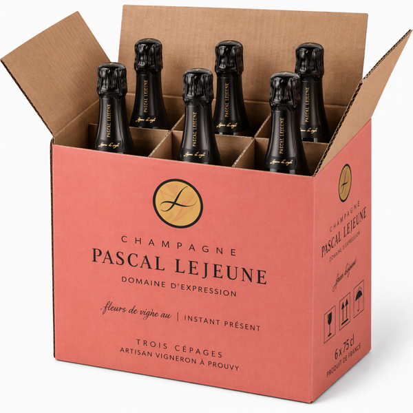 6x Pascal Lejeune, Brut Metonymie