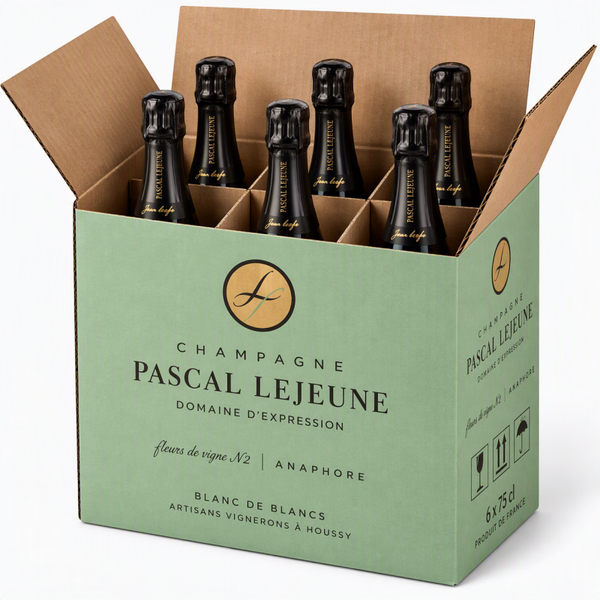 6x Pascal Lejeune, Pemier Cru Brut Anaphore