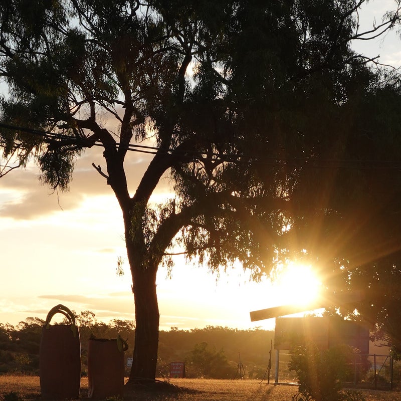 Top Camp Caravan Park & Roadhouse photo 3
