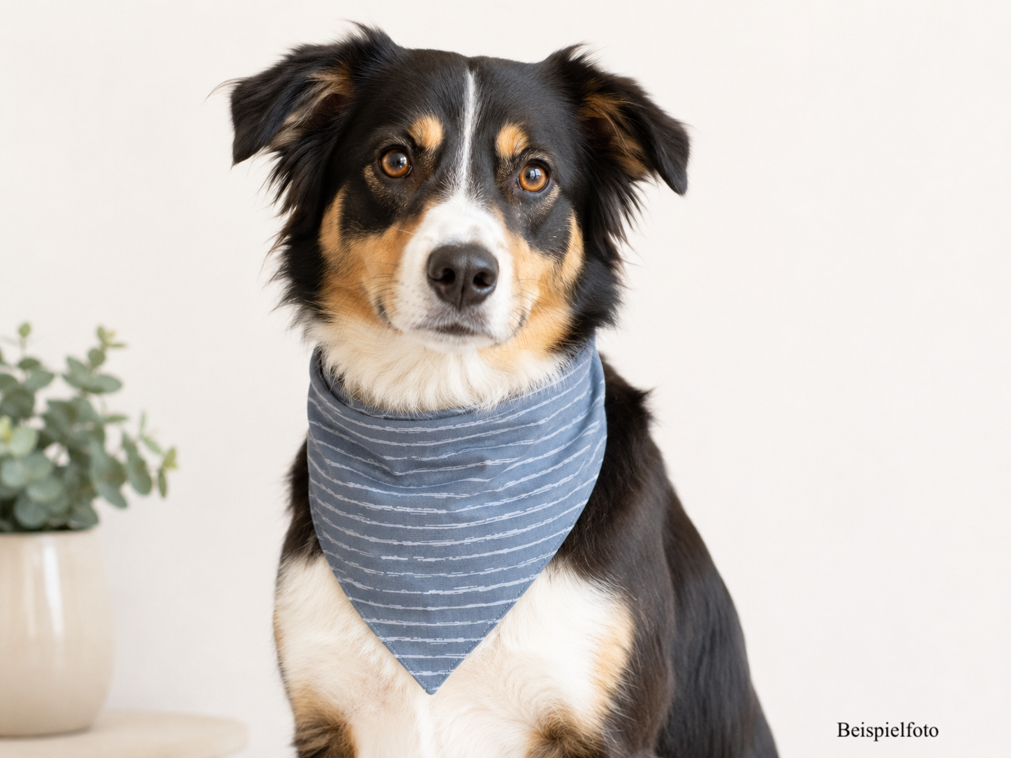 Hundehalstuch Wolkenpfote
