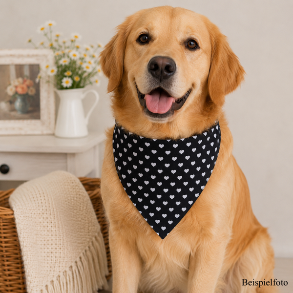 Hundehalstuch in Schwarz mit weißen Herzen