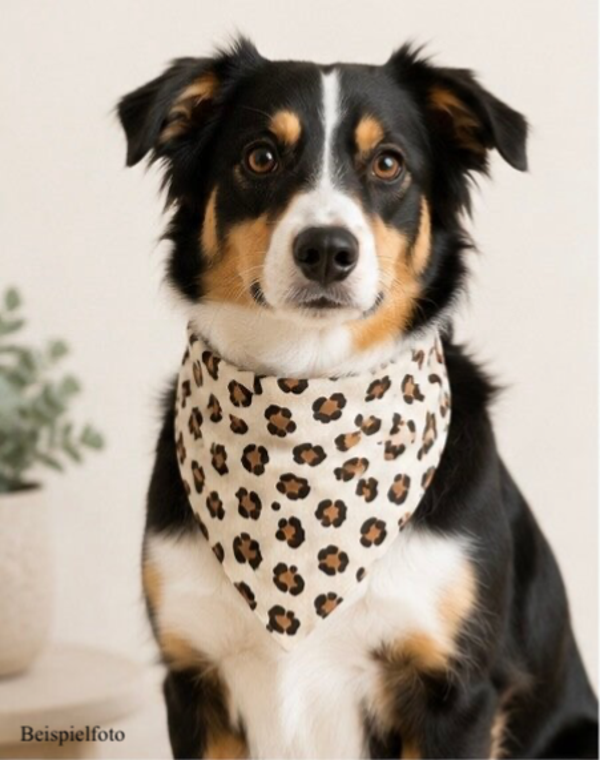 Hundehalstuch im Leo-Style
