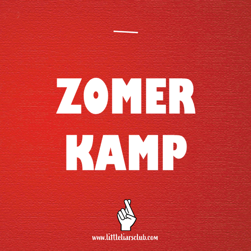 Verhaal  Zomerkamp