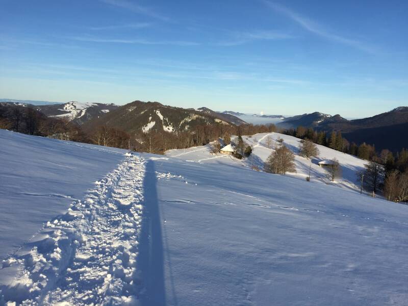 20190206_153627917_ios2.jpg
