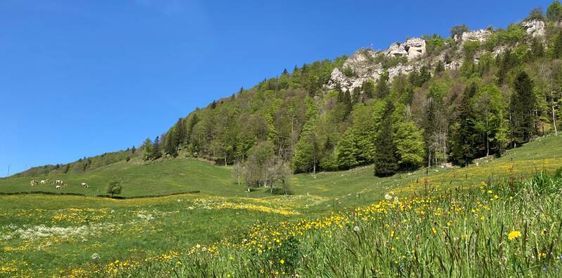 k-img_9495-2-standard.jpg