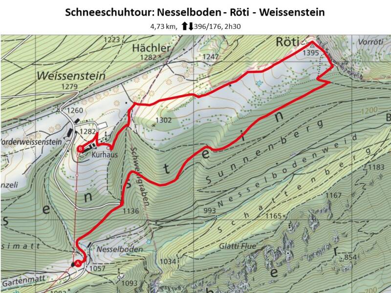 nesselboden-rtischneeschuh.jpg
