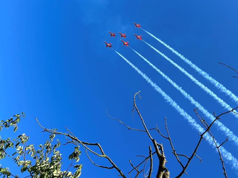 o-img_0459-standard.jpg