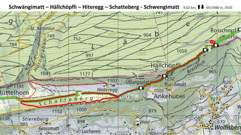 schwngimatt-hellchpfli-hinteregg-schattberg.jpg