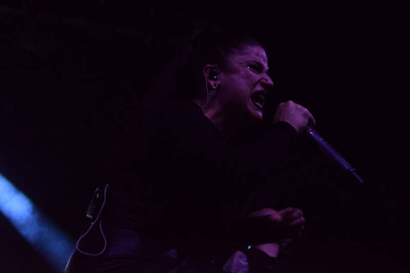 dsc_0007-standard.jpg