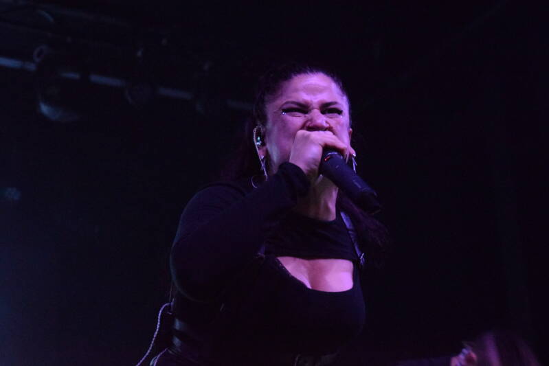 dsc_0008-standard.jpg