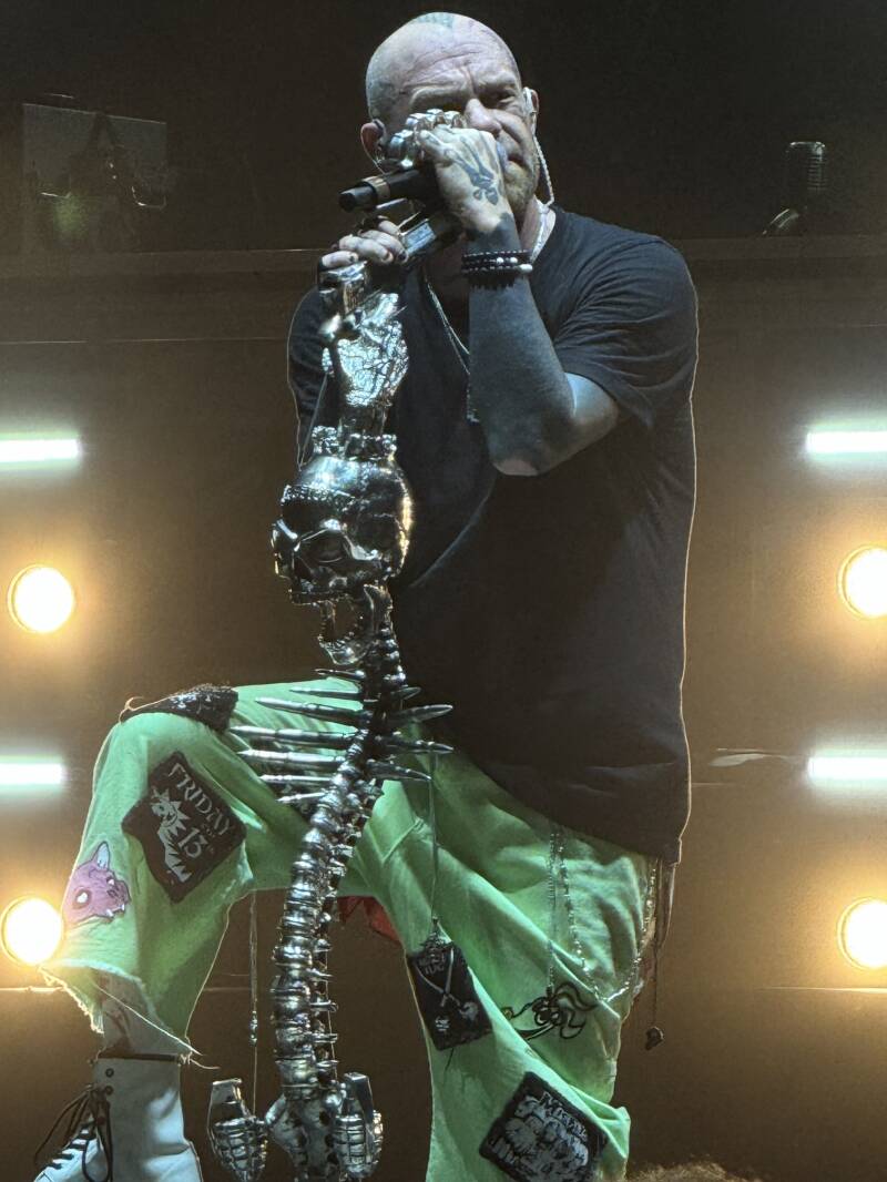 ffdp-55-standard.jpg