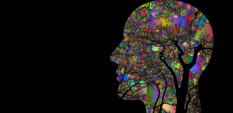 In2 Equine Coach - Coachen van het autonome zenuwstelsel - een andere coachmethode die geïntegreerd kunnen worden in een coachtraject paardencoaching.