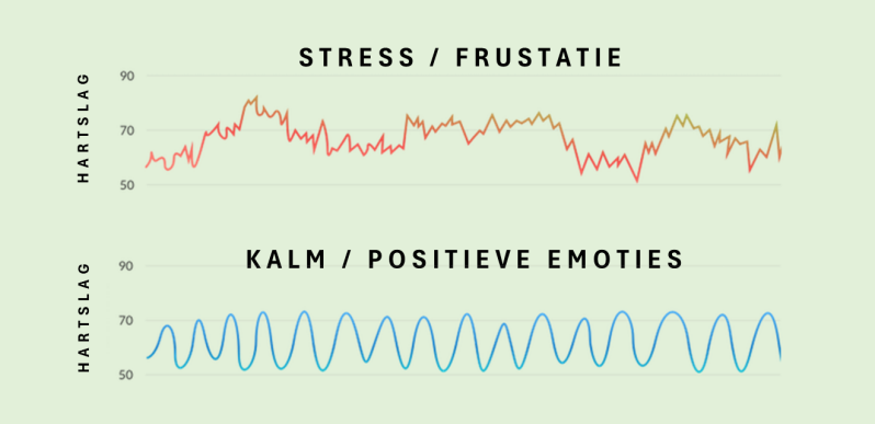 In2 Equine Coch - Heart Q - een andere coachmethode die geïntegreerd kunnen worden in een coachtraject paardencoaching.
