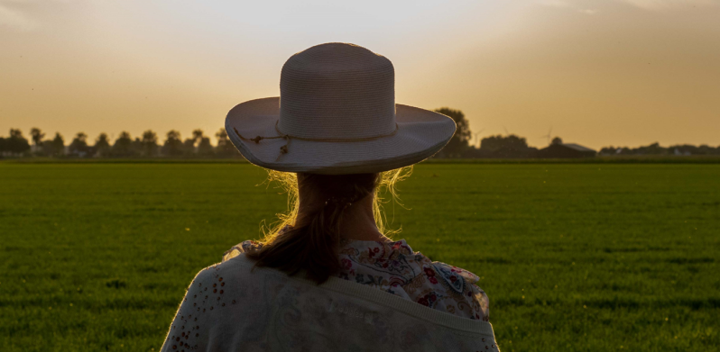 In2 Equine Coach - Geleide meditatie - een andere coachmethode die geïntegreerd kunnen worden in een coachtraject paardencoaching.