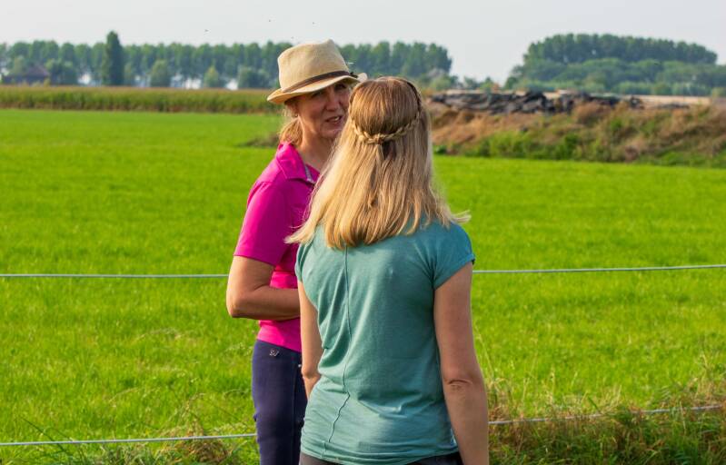 In2 Equine Coach - Coachen van mensen met de hulp van paarden - Na iedere activiteit met het paard een korte nabespreking.