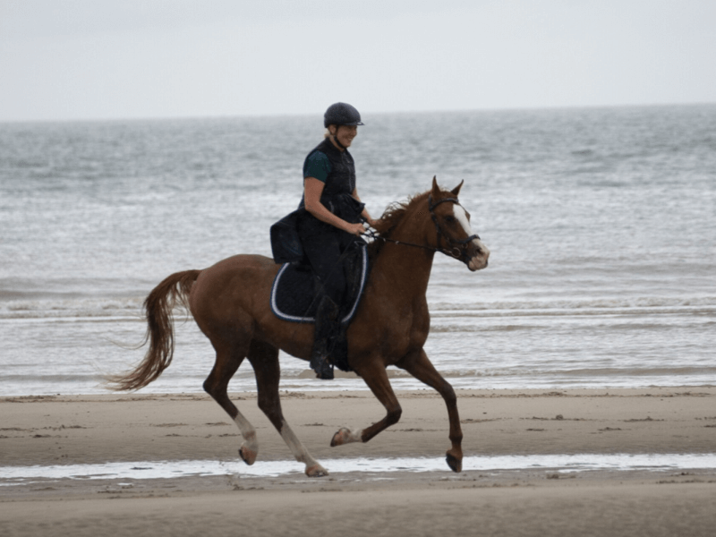 In2 Equine Coach - Leonie & Shamal - Paardencoaching