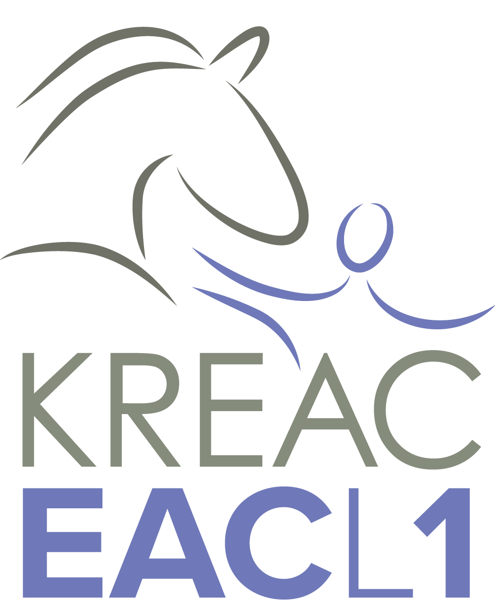 In2 Equine Coach - Mensen coachen met de hulp van paarden -Opleiding Equine Assisted Coach Level 1