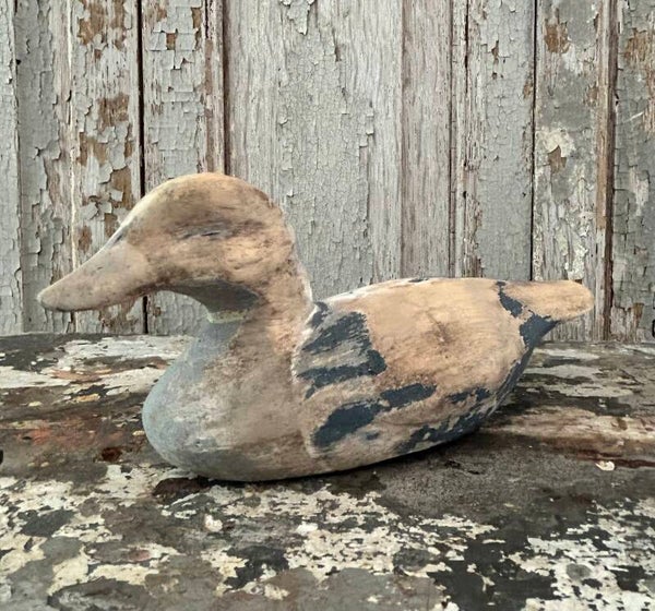 Kleine Houten Lokeend