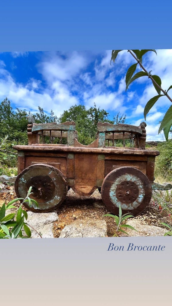 Kinderwagen/ Trekkar