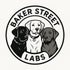 Baker Street Labs