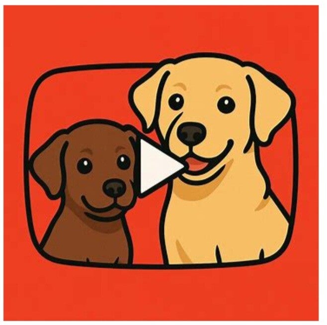🐾Click Here For YouTube Puppy Videos 🐾