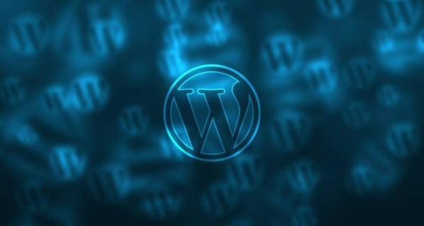 Startup mit WordPress
