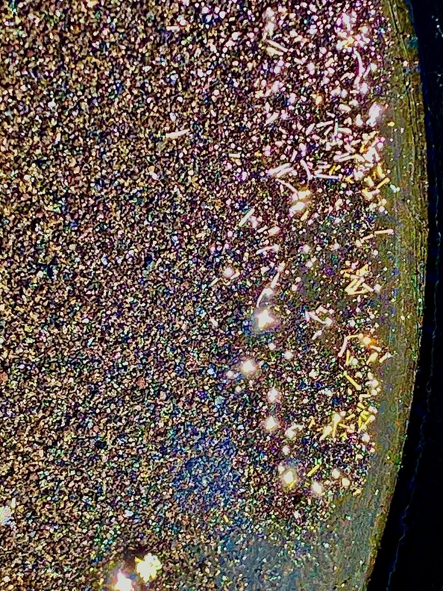 PAYDIRT 1 Kilo With GOLD & SILVER Guaranteed Au Ag Paydirt