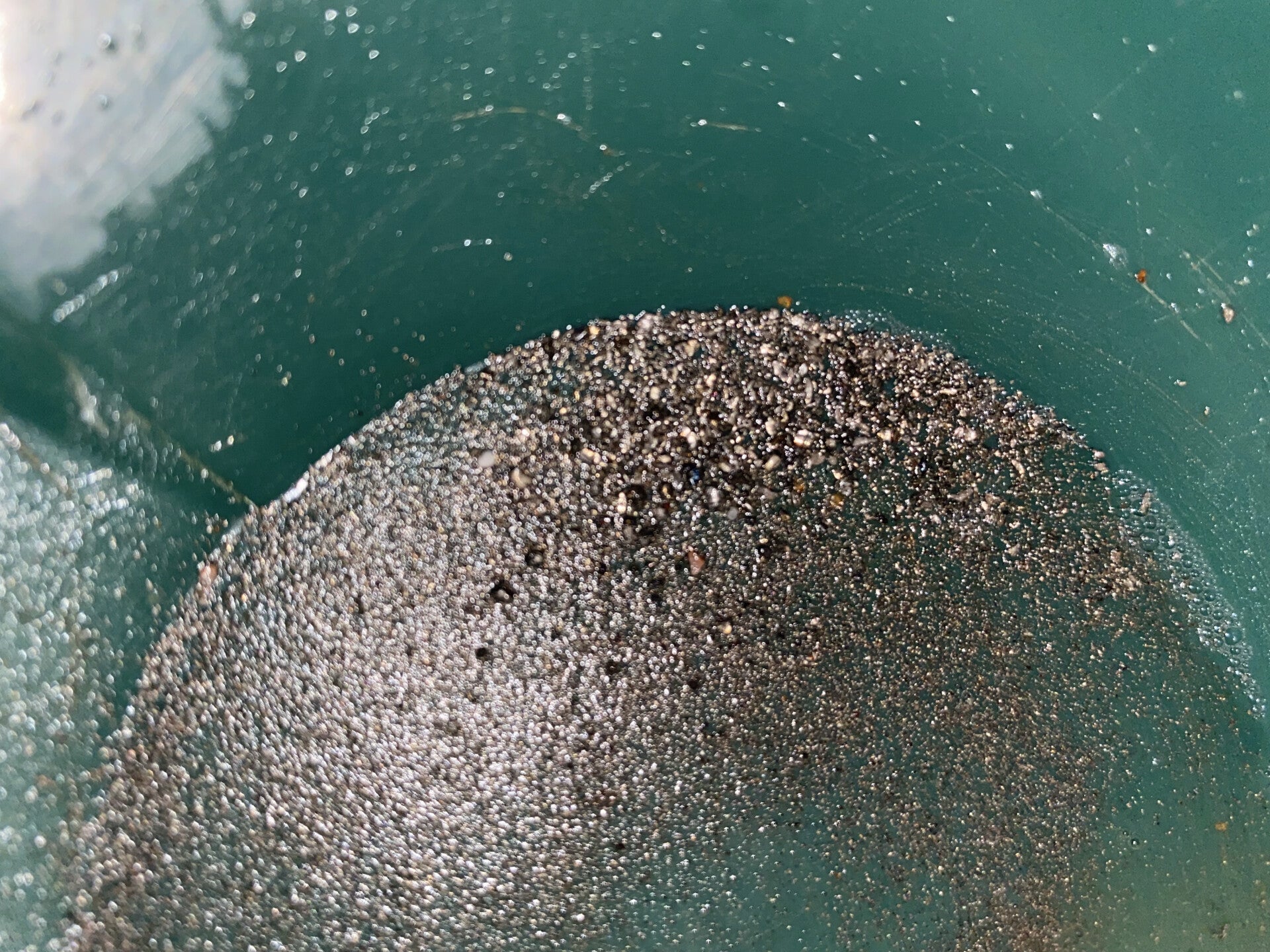 PAYDIRT PRACTICE PANNING WITH SILVER 1Kilo, 1,000 grams