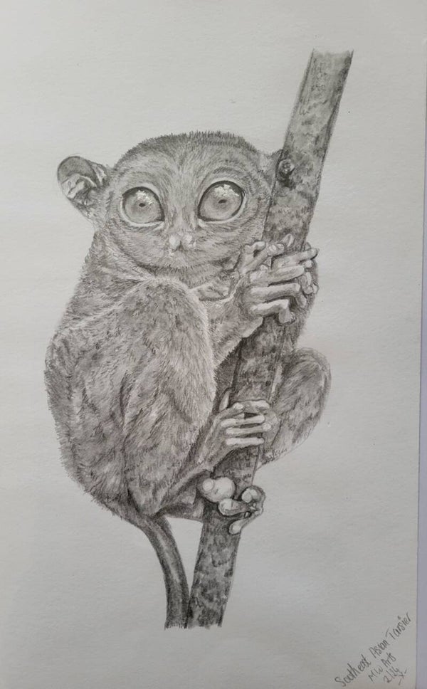 Southeast Asian Tarsier