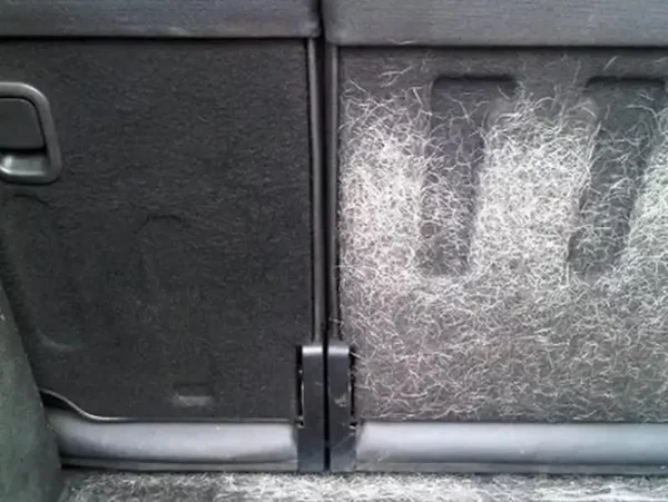 Services Complementaires