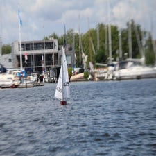 IMG_2245.jpg