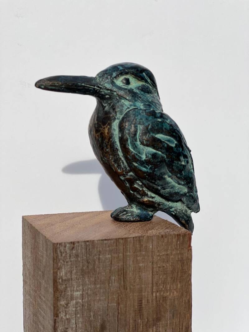 ijsvogel-standard.jpg