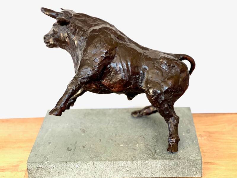 stier-zijkant-standard.jpg