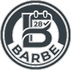 Barbe model