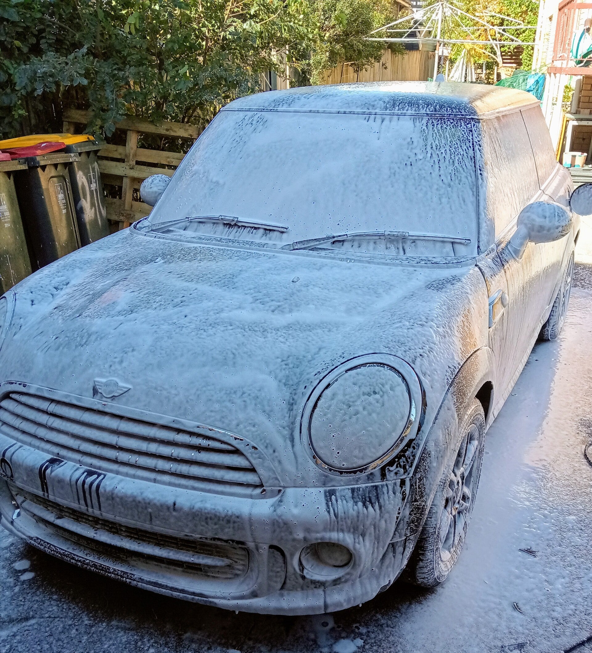 Mini Prewash - Exterior detailing services 
