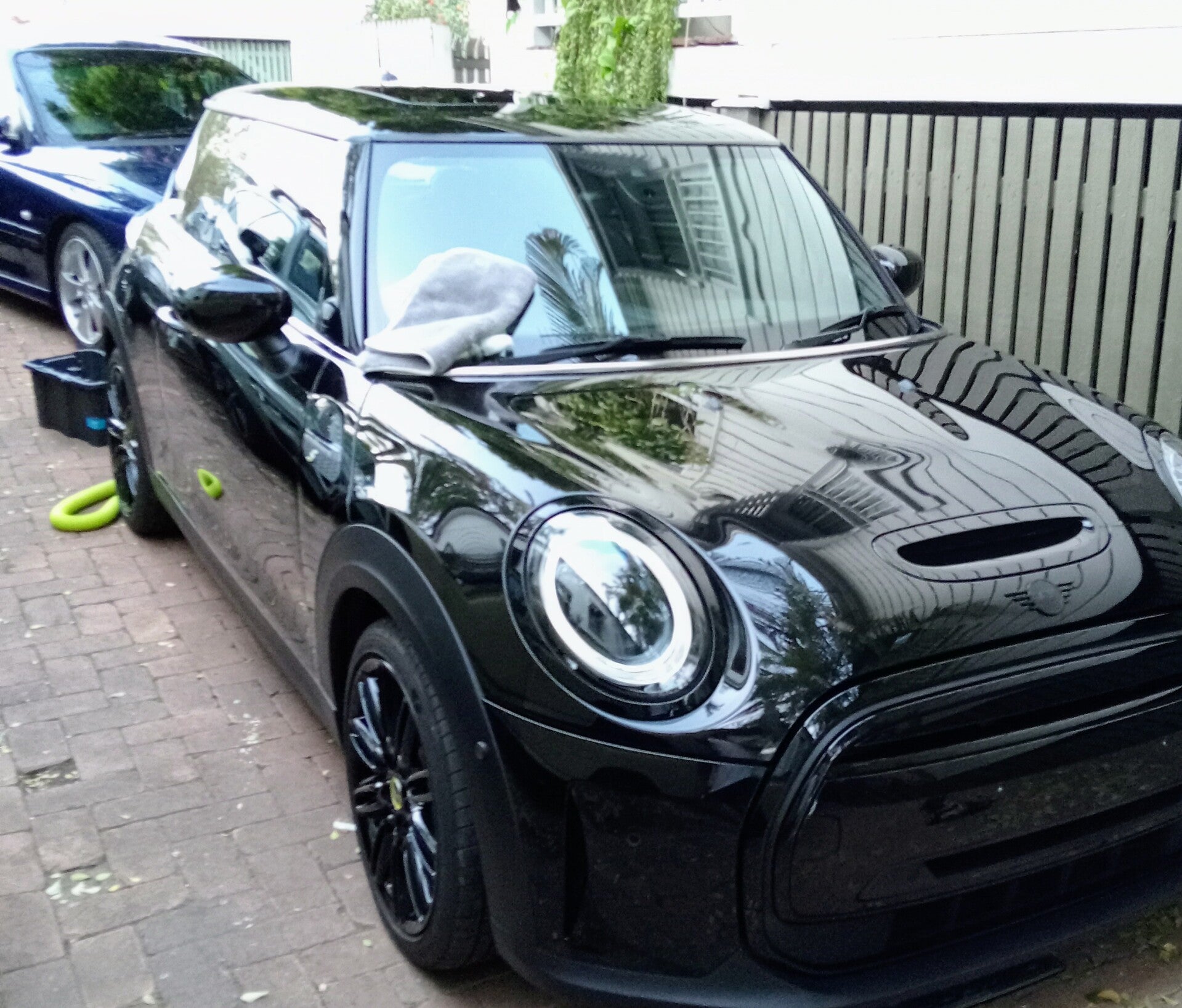 Mini Cooper paint correction 