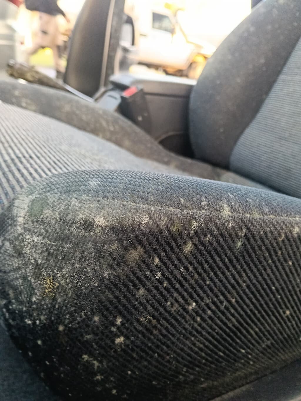 Mouldy seat belt 