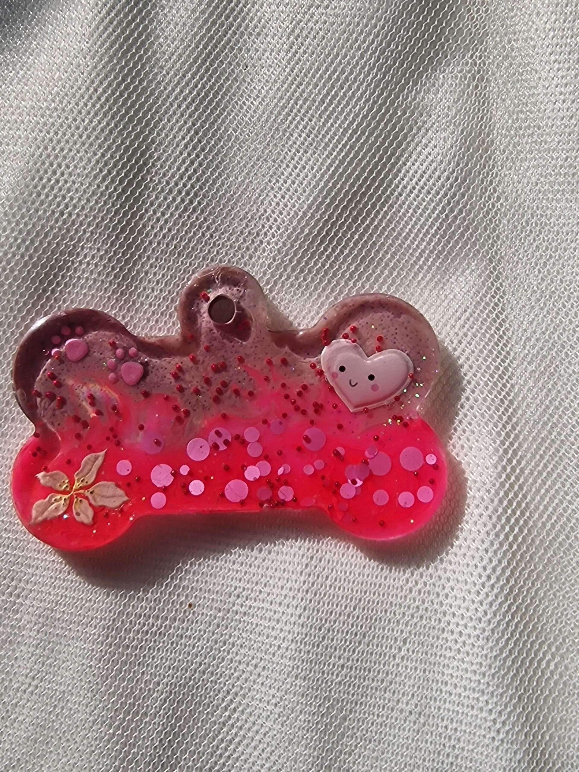 Médaille pour chien