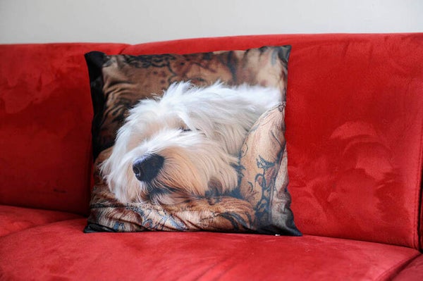 Leuk kussenhoes Bobtail