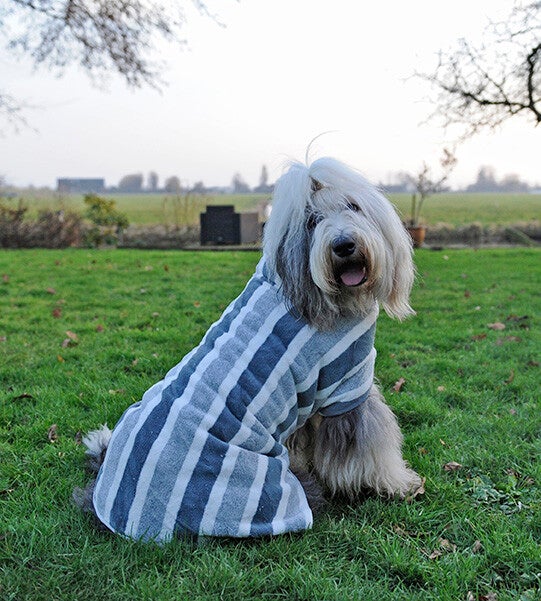 Baddoek voor de hond XXXL