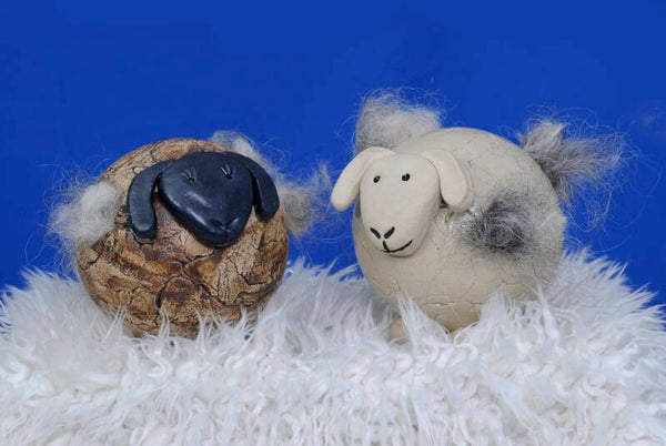 Woes en Snoes, schaapje voor vogel nestjes