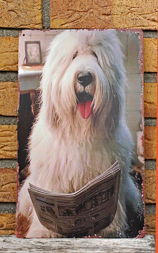 Metalen bordje Bobtail leest de krant