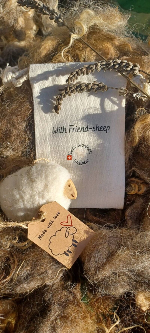 Le mouton zen;  il ne bêle pas il parfume- with friend-sheep