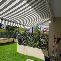 img_3914-standard-v9uhkl.jpg