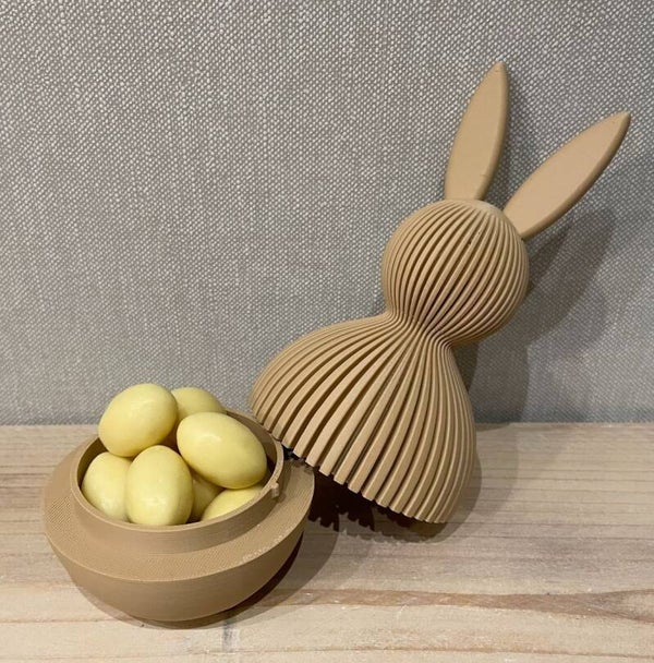 Japandi Bunny
