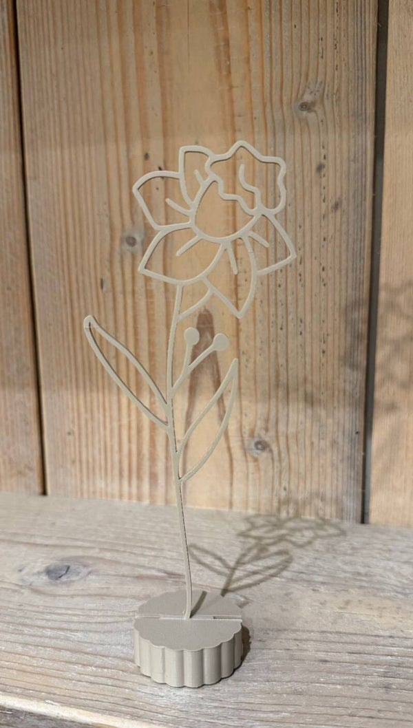 Geboortebloem maart – Trompetnarcis