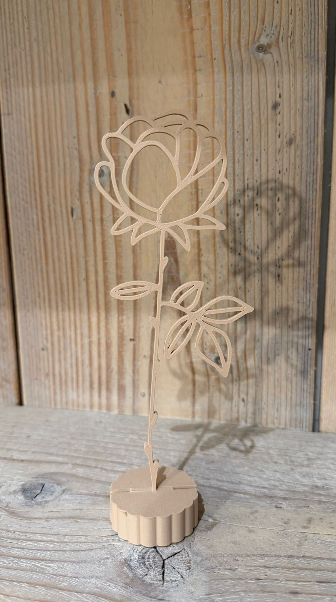 Geboortebloem juni – Roos