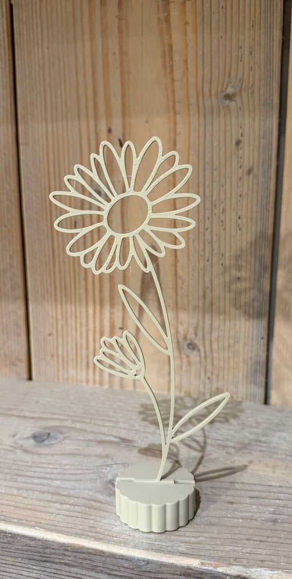 Geboortebloem september – Aster