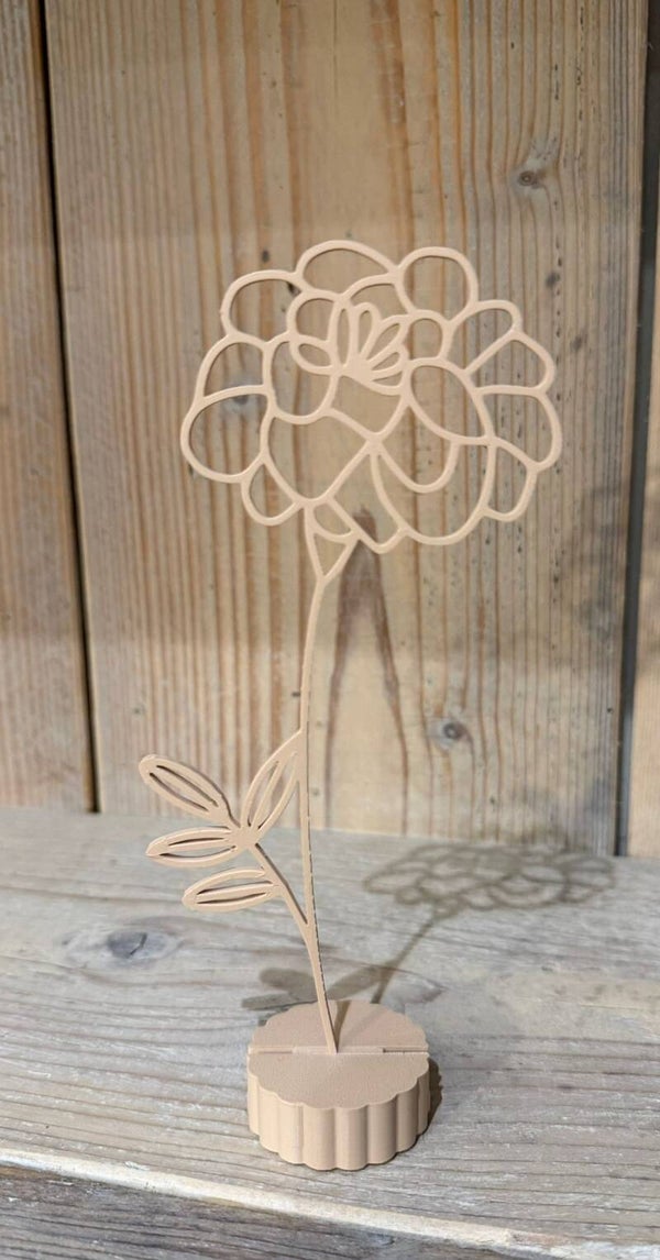 Geboortebloem oktober – Goudsbloem