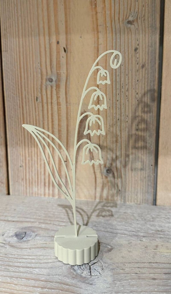 Geboortebloem mei – Lelietje-van-dalen